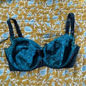 Ewa Michalak BM bra 70HH